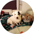 Saint Catherine's Hospice Shop - Filey - Filey