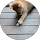 しま profile picture