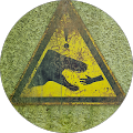 Bund der Katzenfreunde e.V. - Grünwald