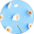 Dance Club EuroDance Wetteren - Wetteren