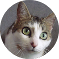 Avatar de Gérard.