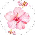 Avatar de delphine.a