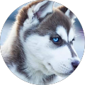 Avatar de Nathan.o
