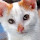 Susan Bauer's profile photo