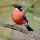 ml.du...@gmail.com's profile photo