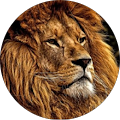 Avatar de Jean-Claude.o