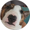 Avatar de Alexandre.e