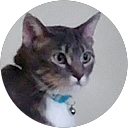 Kenneth Barker's profile image
