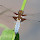 Simon Joseph's profile photo