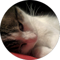 Avatar de lichie.