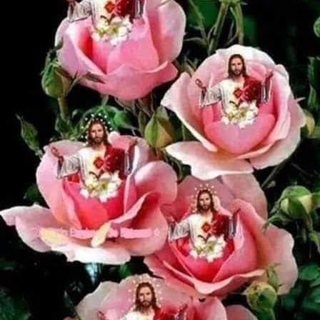 Review from diana n. on [object Object]