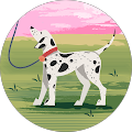 User profile - Shelby McDonnell.