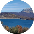 Avatar du profil de Francesca Berardi