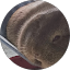 Jonas Adomas Vėta profile photo