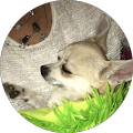 Avatar de Marie-christine.i