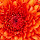 Krishna A.R.'s profile photo