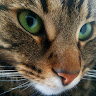 Photo de Gab Leblanc
