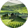 Adry T. profile picture