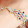 Lakshmi Gowtami's profile photo
