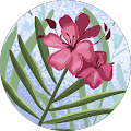 Avatar de Eva.e