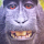 Micha Rindlibacher's profile photo