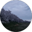髙橋虎伯