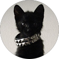Avatar de gaiaphl