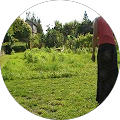 Avatar de mokowaf.