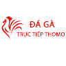Da Ga Truc Tiep Thomo Hom Nay