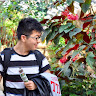 Photo of Cheng Q