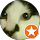 Jef profile picture