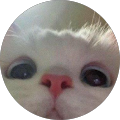 cam