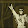 Do Wah's profile photo