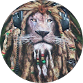 Avatar de novanegs1.