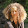 Beth Freewomon's profile photo