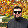 Foto do perfil de Tiago Hillebrandt