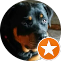 Hundezentrum Ruth Räckers - Legden