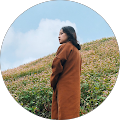 Tra Nguyen