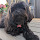 michaelk...@gmail.com's profile photo