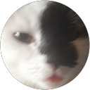 Foto von Carina