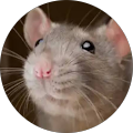 Avatar de Ilyas.e