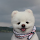 mp Ch's profile photo