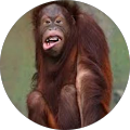 Avatar de Franck.e