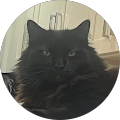 Community member