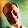 roymond's profile photo