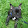 ninzel's profile photo