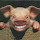 Gene Porfido's profile photo