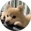 neyoma zu-