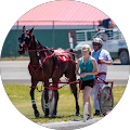 Winner's Circle Off Track Betting - Sydney, Nova Scotia
