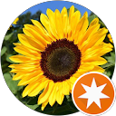 user_profile